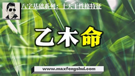 乙木命格|【乙木八字】揭秘乙木八字的玄機：掌握富貴與貧窮的解析技巧